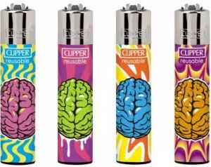 CLIPPER brain damage