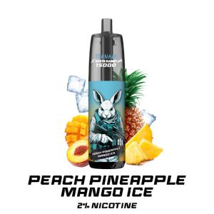 Tornado 15000 2% nicotine peach pineapple mango ice rechargeable