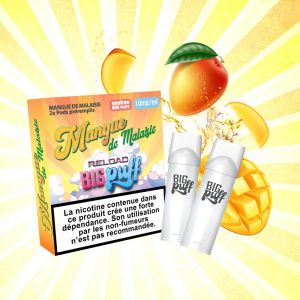 Recharge X2 Big Puff mangue 10 mg nicotine Bte 10