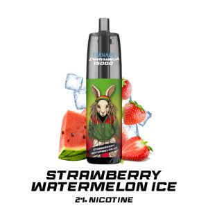 Tornado 15000 2% nicotine strawberry watermelon ice rechargeable