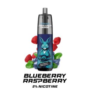 Tornado 15000 2% nicotine blueberry rasperry rechargeable